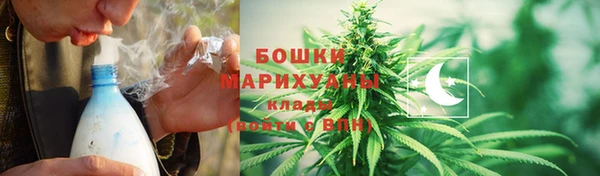 ГАЛЛЮЦИНОГЕННЫЕ ГРИБЫ Горняк