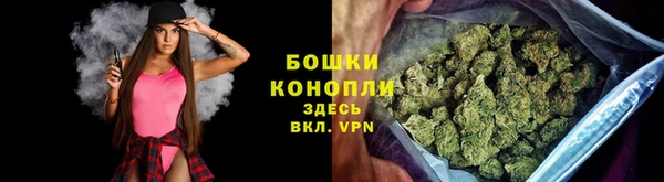 ГАЛЛЮЦИНОГЕННЫЕ ГРИБЫ Горняк