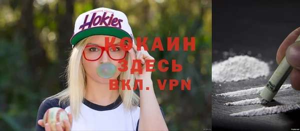 ГАЛЛЮЦИНОГЕННЫЕ ГРИБЫ Горняк