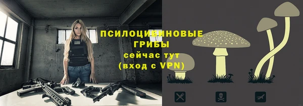 ГАЛЛЮЦИНОГЕННЫЕ ГРИБЫ Горняк