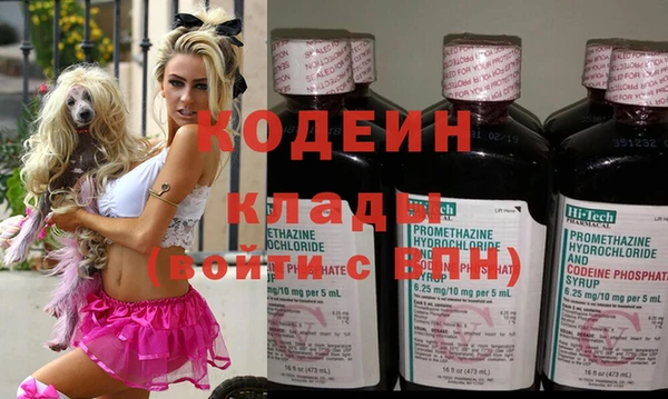 ГАЛЛЮЦИНОГЕННЫЕ ГРИБЫ Горняк