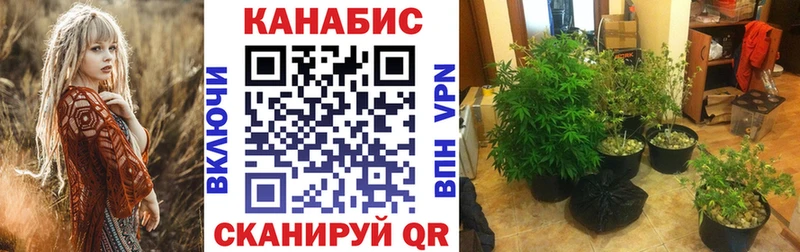 МАРИХУАНА White Widow Мценск